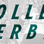 1696c9181397ff26e74f34e9b79c9b17