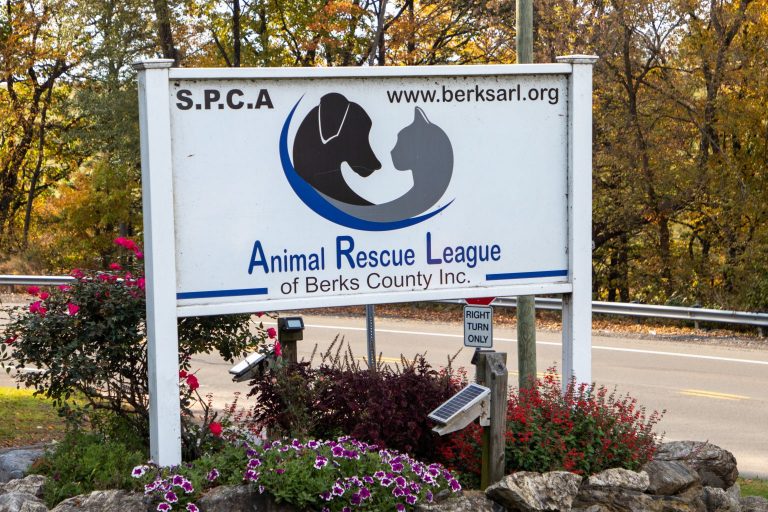 14-year-old Animal Rescue League volunteer receives certificate of appreciation