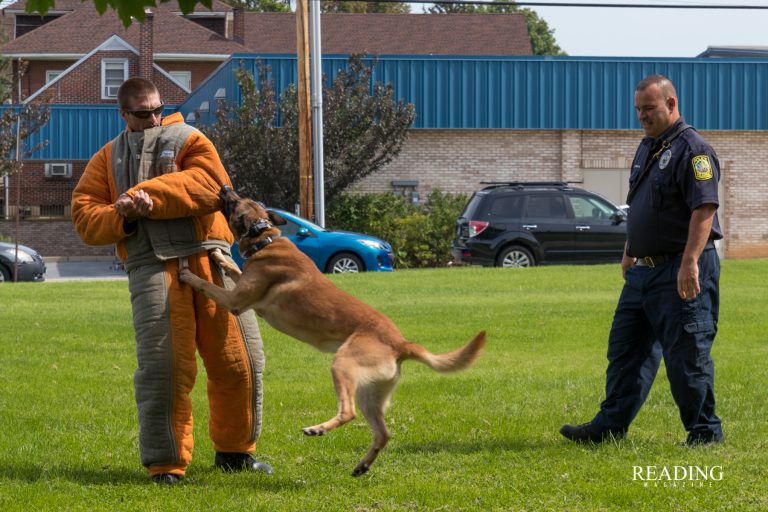 Shaggy Dog Cycling Ride raises money for Reading Police K9 Unit
