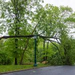 20180515-Storm-Damage-0001