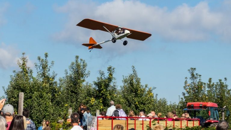 Brecknock Orchard Fall Festival & Candy Drop