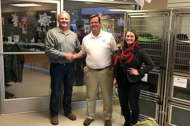 Dogs & Brews Donations Provide New Space for Cats