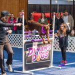 20190323-Pet-Expo-Morgantown-0001