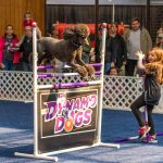 20190323-Pet-Expo-Morgantown-0002