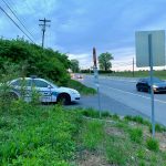 Northern Berks Decoy Police Car (3)