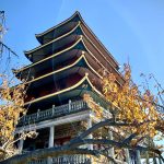 7DF6AC2E-1648-4E8A-8DEA-159FD88B234B