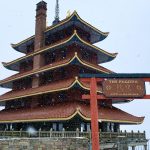 E5D57A98-E91D-48D3-8502-E617C48E0D26