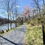 B26A3E00-4D7C-41C2-96D5-420C6E8F6B96